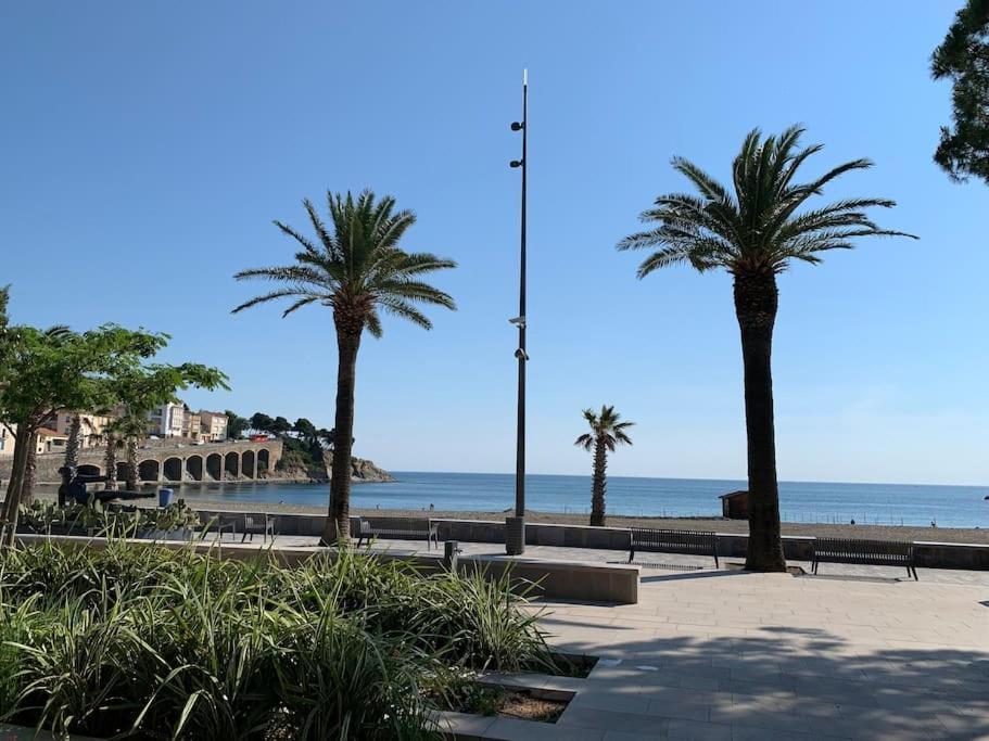 Superbe Appt Vue Mer Climatise Banyuls-sur-Mer Zewnętrze zdjęcie